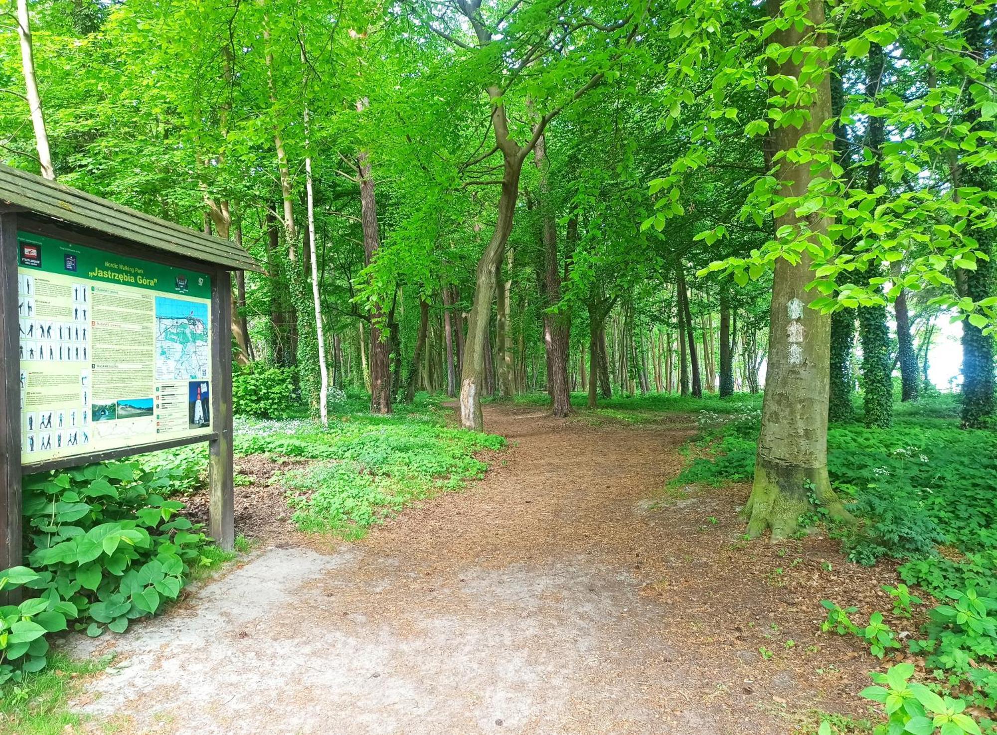 Komfort Alexa Jastrzębia Góra 외부 사진
